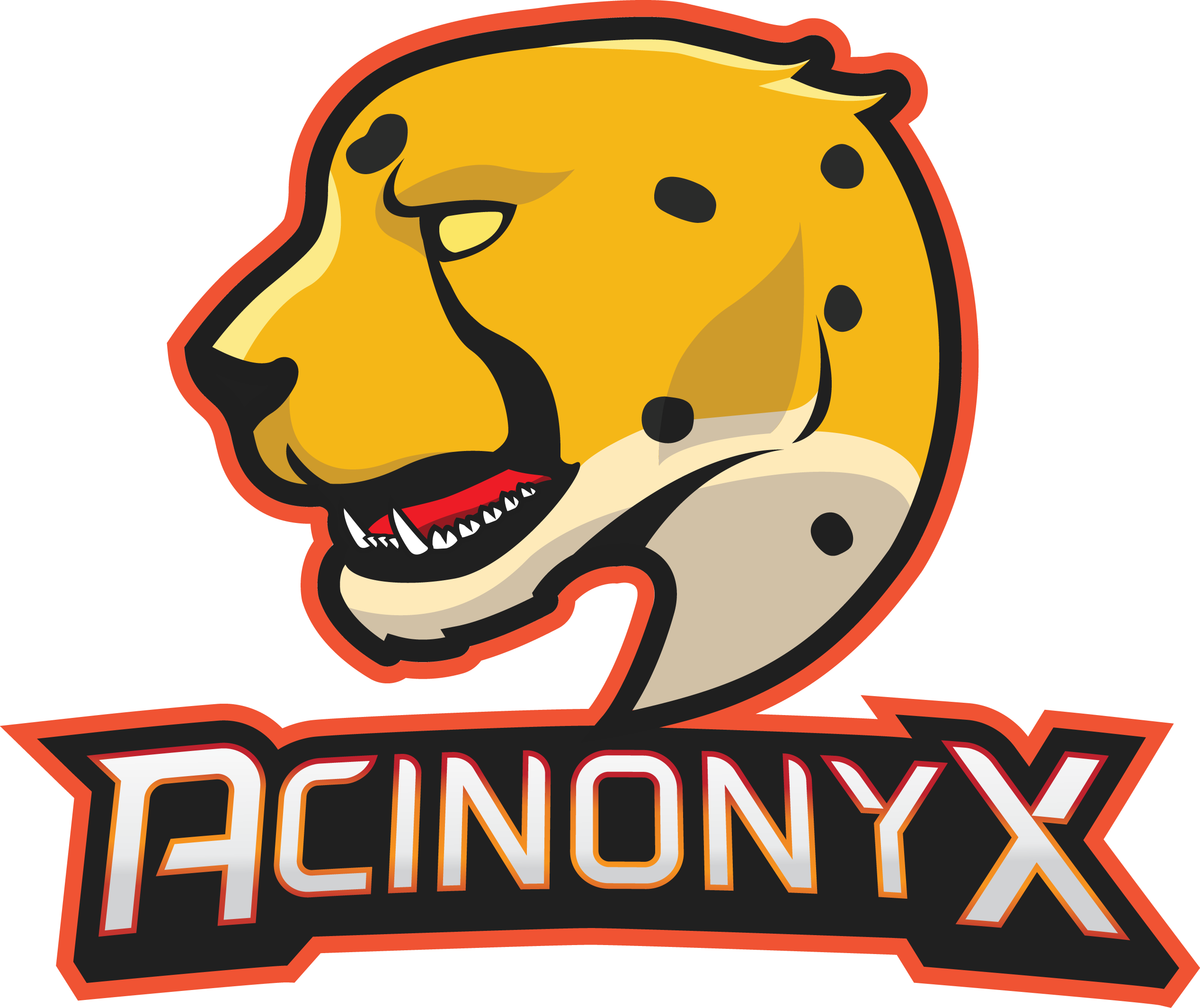 Acinonyx Esports